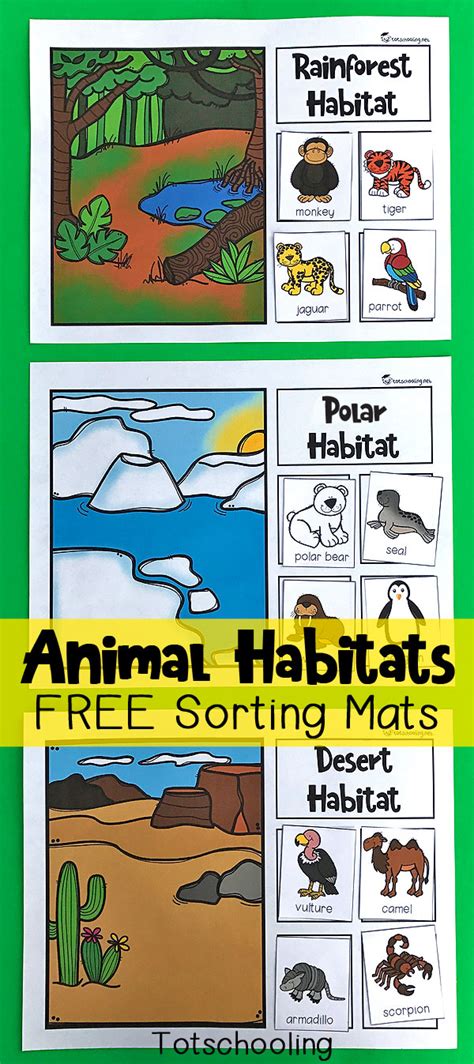 free habitats activity for kindergarten.